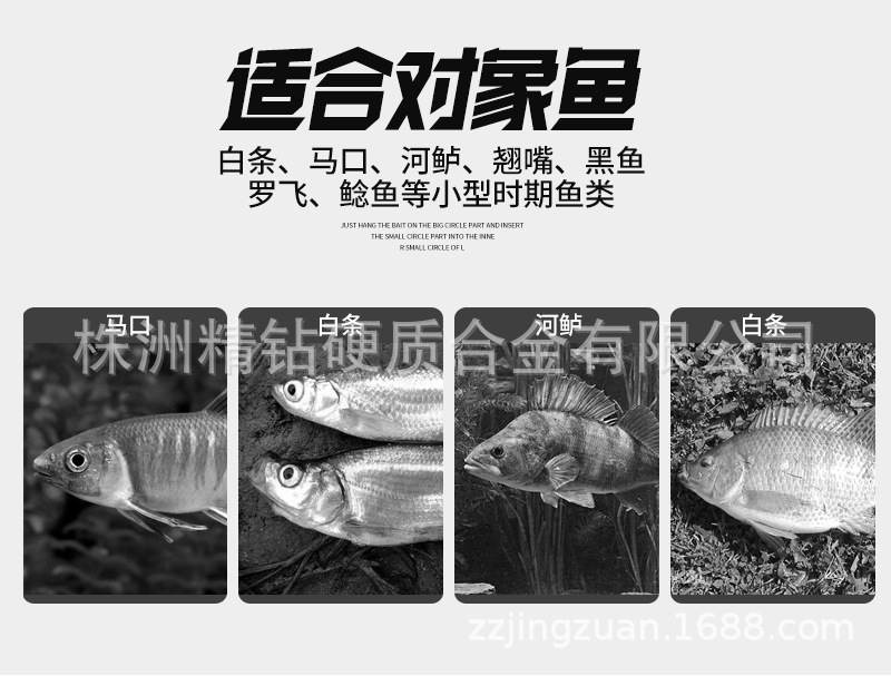 大耳猕猴详情_03